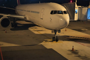 Obraz premium 여객기 탑승교 