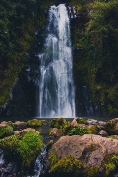 waterfall in forest © Daniel