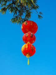 Red Chinese hanging lanterns on bamboo tree.