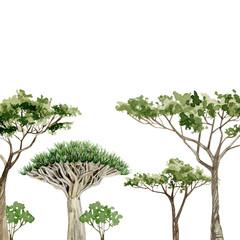 Watercolor Africa trees banner. Hand drawn border illustration of southern trees for template, greeting card, frame, floral background. - 322456714