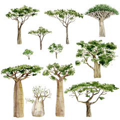 Watercolor Africa trees set. Hand drawn illustration southern trees in the savannah for the banner, frame, border, logo, greeting card, party card, wedding invintation. - 322456782