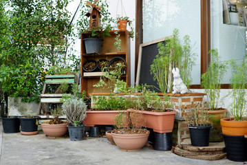 Variety of the flower and plant pots with garden decoration objects