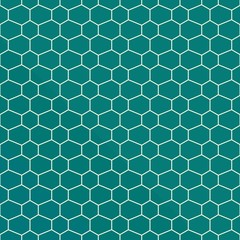 Obraz premium Vector ornamental seamless pattern. Geometric pattern. Illustration for your design