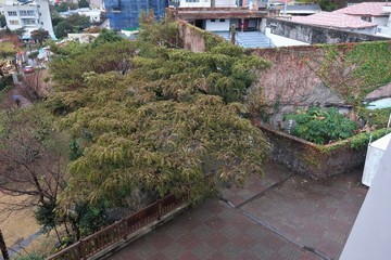 나무 정원 조성