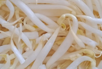 white bean sprouts stacked in a cup 
