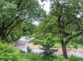 Heavy seasonal rains in February 2020 in the Kruger National Park has caused dry rivers to run again image in horizontal format