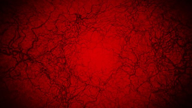 3D loop animation of human blood vessel. Capillaries. Eye blood on red background. Anatomical background. Medical concept.