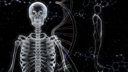 Human Body Skeleton Medical DNA Science Technology 3D illustration background.