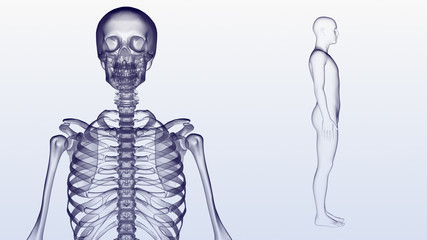 Human Body Skeleton Medical DNA Science Technology 3D illustration background.