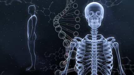 Human Body Skeleton Medical DNA Science Technology 3D illustration background.