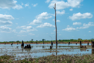 View of lake with stump against cloud sky