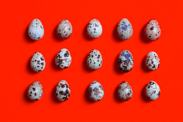 Fresh organic quill eggs on red paper, food design background. Flat lay