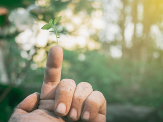 The hands of the farmers look dirty, but they are the things that help the world produce oxygen and food.