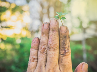 The hands of the farmers look dirty, but they are the things that help the world produce oxygen and food.