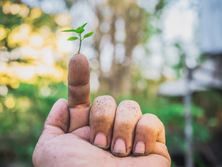 The hands of the farmers look dirty, but they are the things that help the world produce oxygen and food.