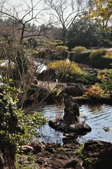 공원 연못 풍경