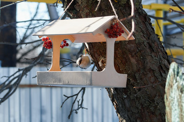 Nuthatch climbs a tree trunk to a bird feeder