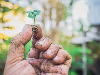 The hands of the farmers look dirty, but they are the things that help the world produce oxygen and food.