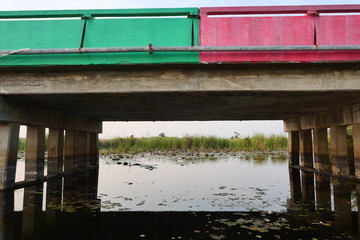 Fototapeta na wymiar Purple and green concrete bridge with canal flowing underneath, Overlapping land and water transportation routes, The vast wetland at Khao Sam Roi Yot National Park , Thailand 