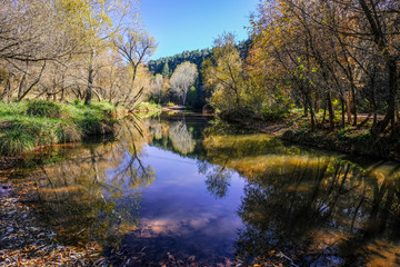 Fototapeta na wymiar Fall colors along the river