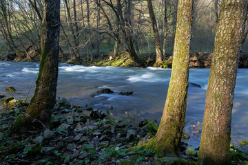The Rjecina River in early spring, Croatia