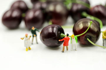 Miniature people : housekeeper with cherrys,cherry month concept.