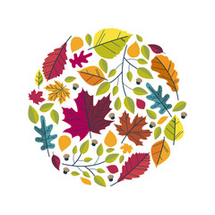 Vector image of autumn leaves arranged in a circle