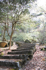 公園と木の階段