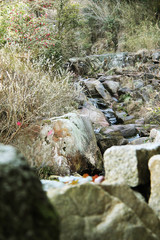 岩に流れる川の水