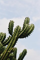 Processed with VSCO with a6 preset