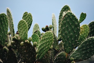 Processed with VSCO with c8 preset