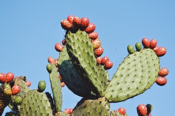 Processed with VSCO with a9 preset