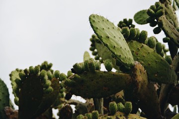 Processed with VSCO with a6 preset