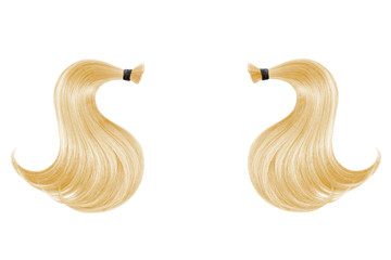 Blond hair isolated on white background. Two ponytail - obrazy, fototapety, plakaty