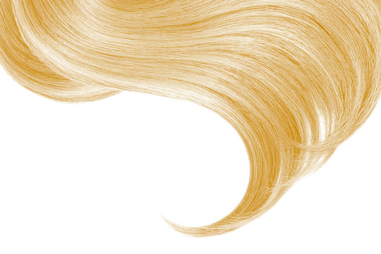 recommend clip art: Blond hair isolated on white background. Long ponytail