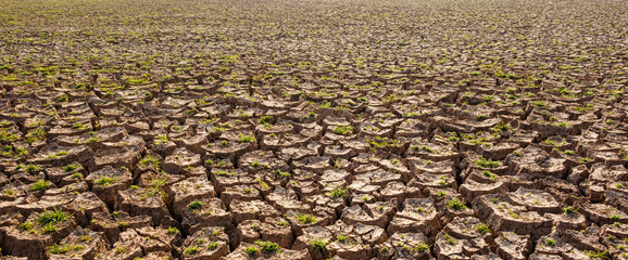 Dry soil results from lack of water.Global warming