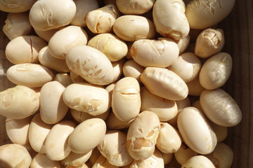 日本の節分で使用する豆