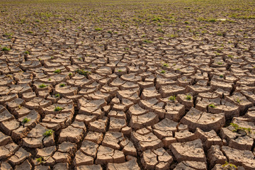 Dry soil results from lack of water.Global warming