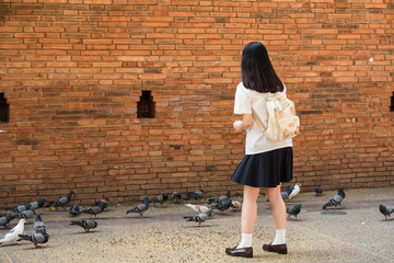 Chiang Mai , Thailand - January, 18, 2020 : Tourists playing with flock of pigeons at Tha Phae gate.