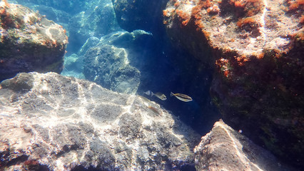 Greece Crete island South Crete Orthi Ammos beach