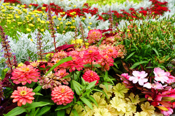 カラフルな花壇