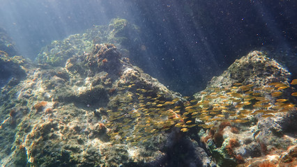 Greece Crete island South Crete Orthi Ammos beach