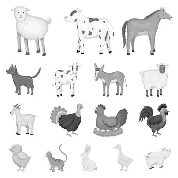 Isolated object of homestead and agriculture symbol. Collection of homestead and kitchen vector icon for stock.