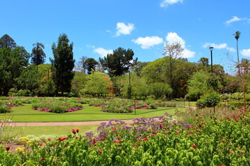 Brisbane Botanic Garden