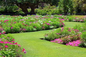 Brisbane Botanic Garden