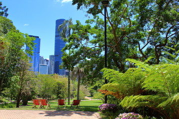 Brisbane Botanic Garden - obrazy, fototapety, plakaty