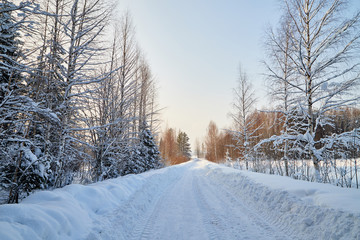 White road in a winter forest with snow covered trees in a sunny day