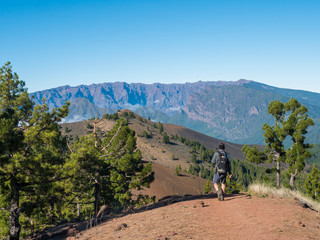 Fototapeta premium Volcanic landscape with lush green pine trees, colorful volcanoes and lava rock field along path Ruta de los Volcanes, hiking trail at La Palma island, Canary Islands, Spain, Blue sky background