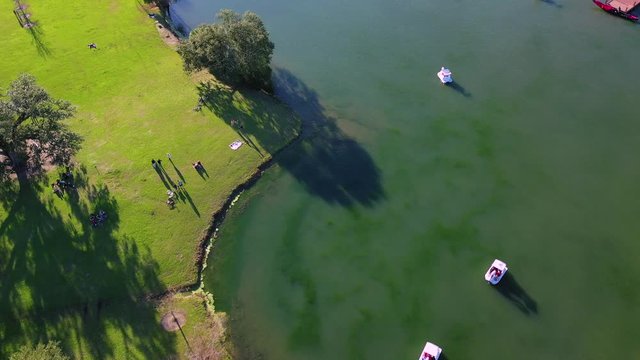 Aerial reveal of City Park lagoon and New Orleans museum