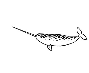illustration of a narwhal. Cute joyful happy rainbow narwhale with hearts and a magic horn on a white background. Element for design stickers, print, t-shirts, souvenir. Black lines.  © Ksenia